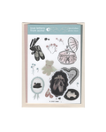 December 2025 Love Letter (One-Time Purchase)