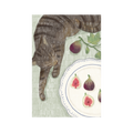 September 2025 Postcard