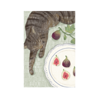 September 2025 Postcard
