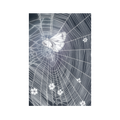 October 2025 Lucky Postcard