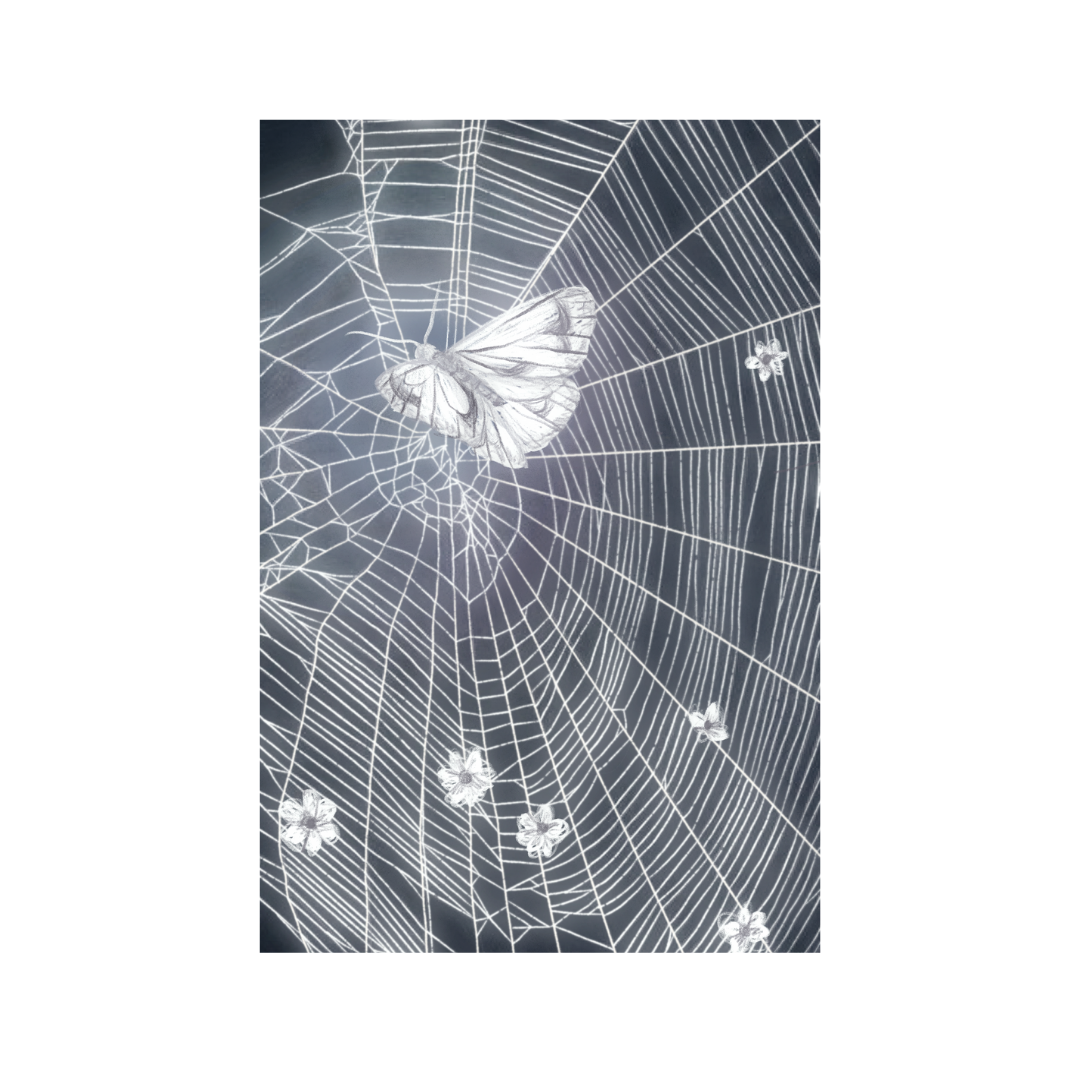 October 2025 Lucky Postcard