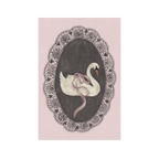 December 2025 Postcard