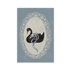 December 2025 Postcard