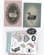 Aome Love Letters Club