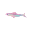July 2026 Sticker