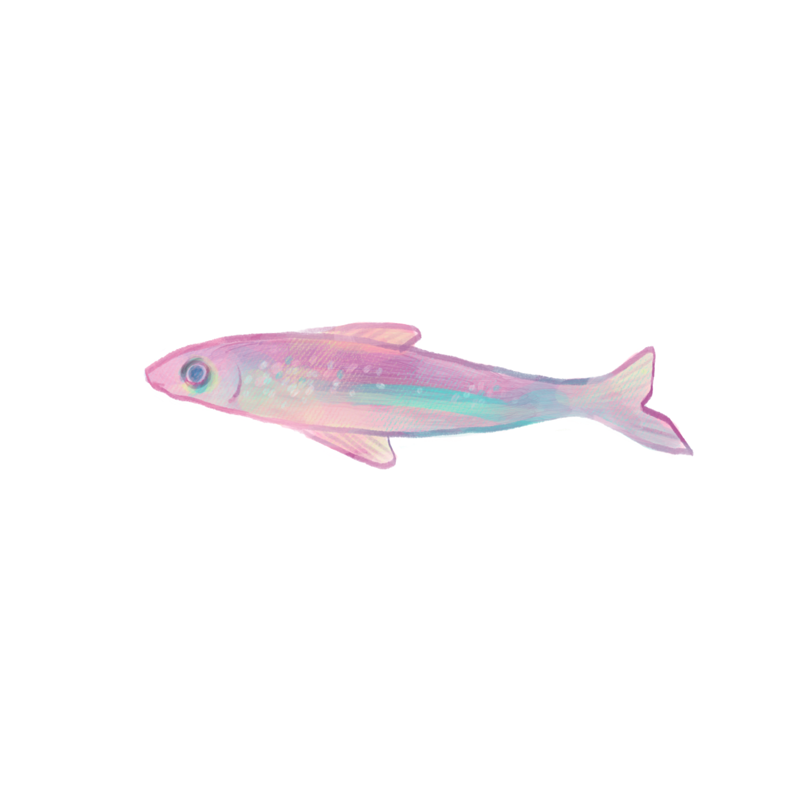 July 2026 Sticker