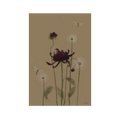 May 2025 Postcard (B-Grade) image 0