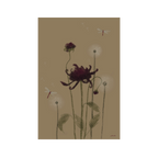 May 2025 Postcard (B-Grade) image 0